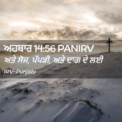 Picture 02 - ਅਹਬਾਰ 14:56 PANIRV - ਅਤੇ ਸੋਜ, ਪੱਪੜੀ, ਅਤੇ - Bible Verse Picture