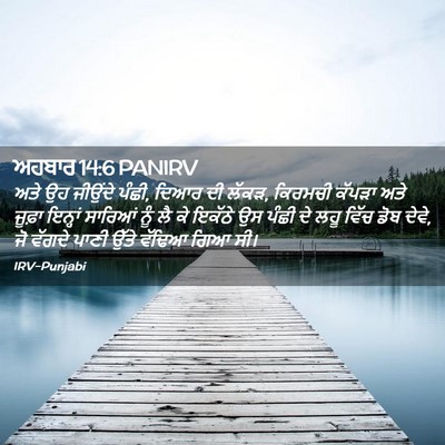 Picture 02 - ਅਹਬਾਰ 14:6 PANIRV - ਅਤੇ ਉਹ ਜੀਉਂਦੇ ਪੰਛੀ, - Bible Verse Picture