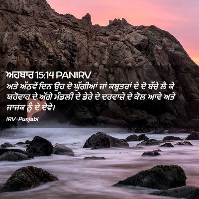 Picture 02 - ਅਹਬਾਰ 15:14 PANIRV - ਅਤੇ ਅੱਠਵੇਂ ਦਿਨ ਉਹ - Bible Verse Picture