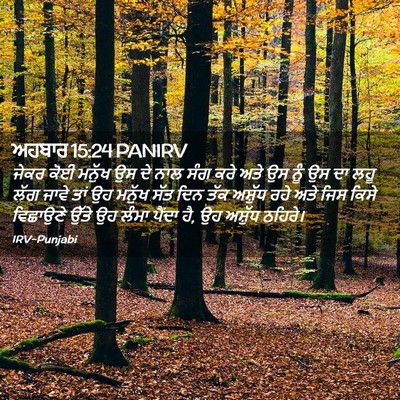 Picture 02 - ਅਹਬਾਰ 15:24 PANIRV - ਜੇਕਰ ਕੋਈ ਮਨੁੱਖ ਉਸ - Bible Verse Picture
