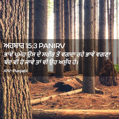 Picture 02 - ਅਹਬਾਰ 15:3 PANIRV - ਭਾਵੇਂ ਪ੍ਰਮੇਹ ਉਸ ਦੇ - Bible Verse Picture