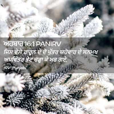 Picture 02 - ਅਹਬਾਰ 16:1 PANIRV - ਜਿਸ ਵੇਲੇ ਹਾਰੂਨ ਦੇ - Bible Verse Picture