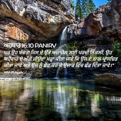 Picture 02 - ਅਹਬਾਰ 16:10 PANIRV - ਪਰ ਉਹ ਬੱਕਰਾ ਜਿਸ ਦੇ - Bible Verse Picture