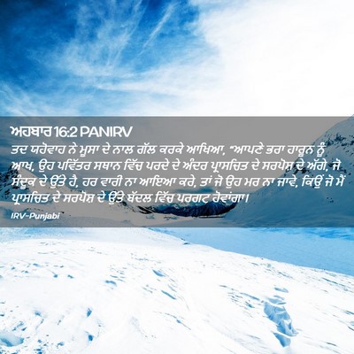 Picture 02 - ਅਹਬਾਰ 16:2 PANIRV - ਤਦ ਯਹੋਵਾਹ ਨੇ ਮੂਸਾ - Bible Verse Picture