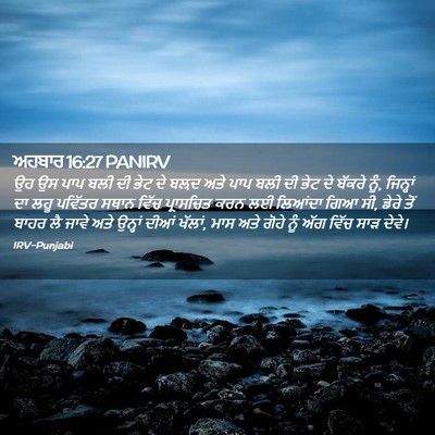 Picture 02 - ਅਹਬਾਰ 16:27 PANIRV - ਉਹ ਉਸ ਪਾਪ ਬਲੀ ਦੀ - Bible Verse Picture