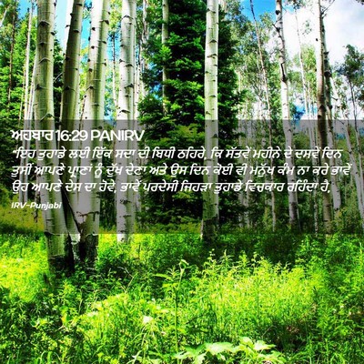 Picture 02 - ਅਹਬਾਰ 16:29 PANIRV - “ਇਹ ਤੁਹਾਡੇ ਲਈ ਇੱਕ - Bible Verse Picture