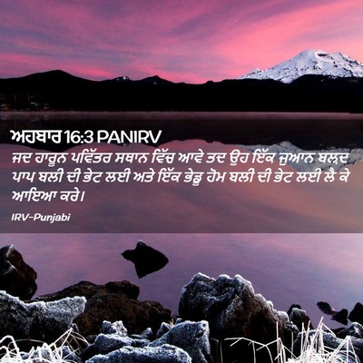 Picture 02 - ਅਹਬਾਰ 16:3 PANIRV - ਜਦ ਹਾਰੂਨ ਪਵਿੱਤਰ - Bible Verse Picture