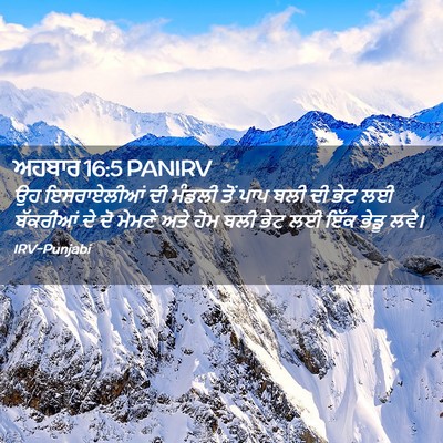 Picture 02 - ਅਹਬਾਰ 16:5 PANIRV - ਉਹ ਇਸਰਾਏਲੀਆਂ ਦੀ - Bible Verse Picture
