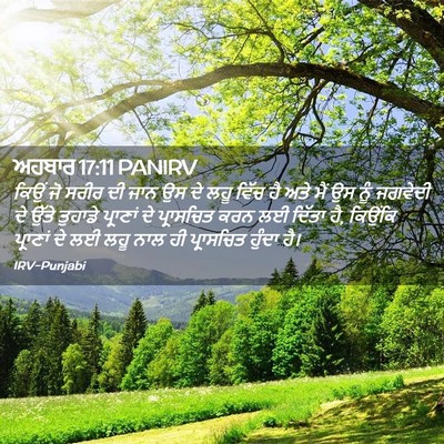 Picture 02 - ਅਹਬਾਰ 17:11 PANIRV - ਕਿਉਂ ਜੋ ਸਰੀਰ ਦੀ ਜਾਨ - Bible Verse Picture