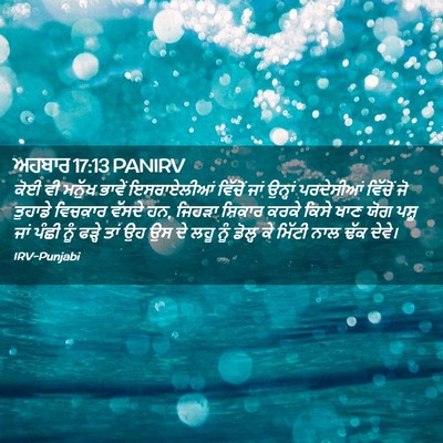 Picture 02 - ਅਹਬਾਰ 17:13 PANIRV - ਕੋਈ ਵੀ ਮਨੁੱਖ ਭਾਵੇਂ - Bible Verse Picture