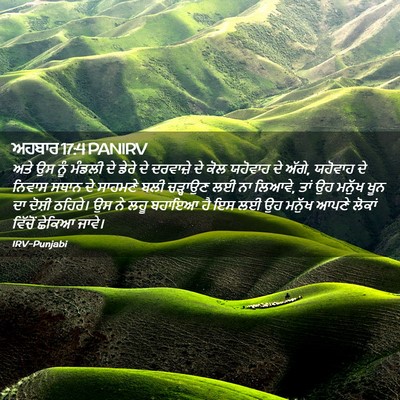Picture 02 - ਅਹਬਾਰ 17:4 PANIRV - ਅਤੇ ਉਸ ਨੂੰ ਮੰਡਲੀ ਦੇ - Bible Verse Picture