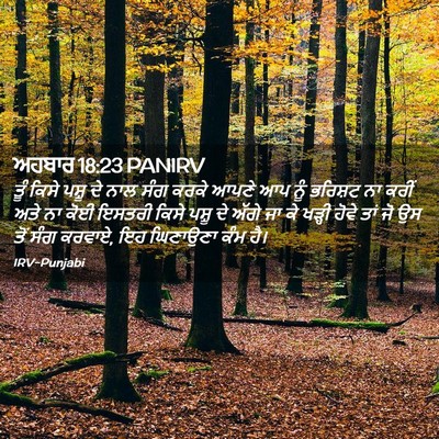 Picture 02 - ਅਹਬਾਰ 18:23 PANIRV - ਤੂੰ ਕਿਸੇ ਪਸ਼ੂ ਦੇ - Bible Verse Picture