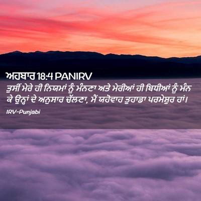 Picture 02 - ਅਹਬਾਰ 18:4 PANIRV - ਤੁਸੀਂ ਮੇਰੇ ਹੀ - Bible Verse Picture