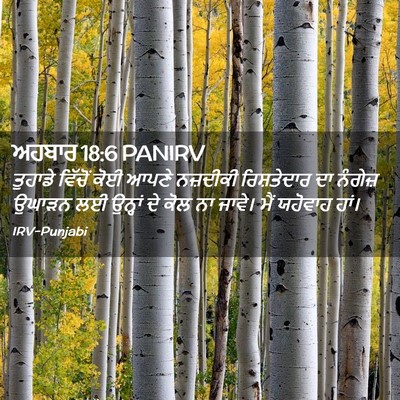 Picture 02 - ਅਹਬਾਰ 18:6 PANIRV - ਤੁਹਾਡੇ ਵਿੱਚੋਂ ਕੋਈ - Bible Verse Picture