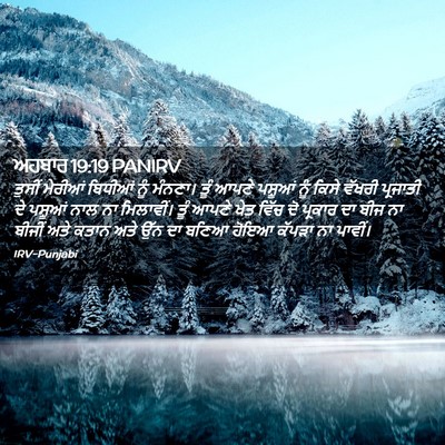 Picture 02 - ਅਹਬਾਰ 19:19 PANIRV - ਤੁਸੀਂ ਮੇਰੀਆਂ - Bible Verse Picture