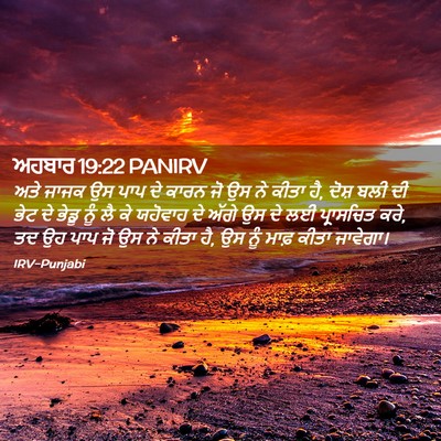 Picture 02 - ਅਹਬਾਰ 19:22 PANIRV - ਅਤੇ ਜਾਜਕ ਉਸ ਪਾਪ ਦੇ - Bible Verse Picture