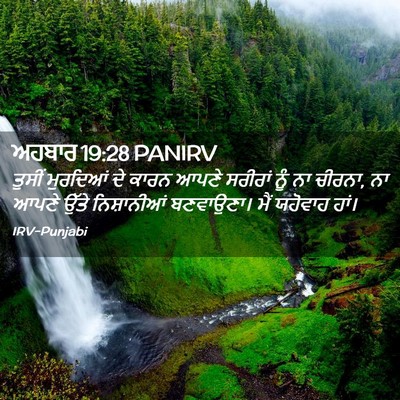 Picture 02 - ਅਹਬਾਰ 19:28 PANIRV - ਤੁਸੀਂ ਮੁਰਦਿਆਂ ਦੇ - Bible Verse Picture