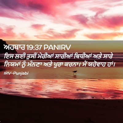 Picture 02 - ਅਹਬਾਰ 19:37 PANIRV - ਇਸ ਲਈ ਤੁਸੀਂ ਮੇਰੀਆਂ - Bible Verse Picture