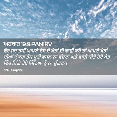 Picture 02 - ਅਹਬਾਰ 19:9 PANIRV - ਫੇਰ ਜਦ ਤੁਸੀਂ ਆਪਣੇ - Bible Verse Picture