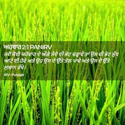 Picture 02 - ਅਹਬਾਰ 2:1 PANIRV - ਜਦੋਂ ਕੋਈ ਯਹੋਵਾਹ ਦੇ - Bible Verse Picture