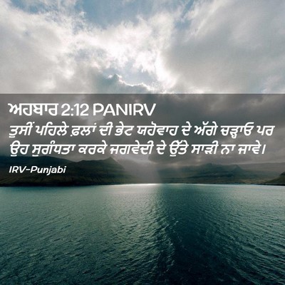 Picture 02 - ਅਹਬਾਰ 2:12 PANIRV - ਤੁਸੀਂ ਪਹਿਲੇ ਫ਼ਲਾਂ - Bible Verse Picture