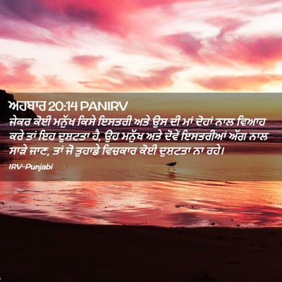 Picture 02 - ਅਹਬਾਰ 20:14 PANIRV - ਜੇਕਰ ਕੋਈ ਮਨੁੱਖ - Bible Verse Picture