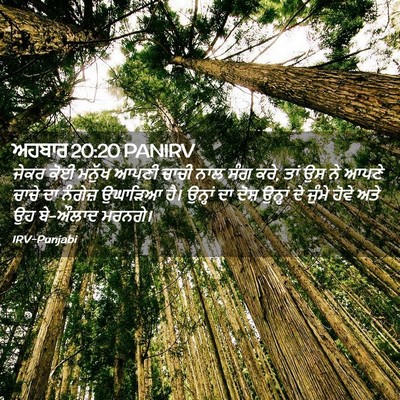 Picture 02 - ਅਹਬਾਰ 20:20 PANIRV - ਜੇਕਰ ਕੋਈ ਮਨੁੱਖ - Bible Verse Picture