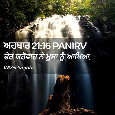 Picture 02 - ਅਹਬਾਰ 21:16 PANIRV - ਫੇਰ ਯਹੋਵਾਹ ਨੇ ਮੂਸਾ - Bible Verse Picture