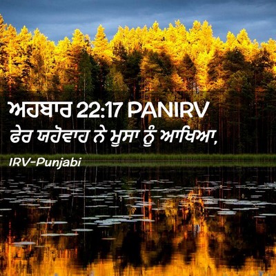 Picture 02 - ਅਹਬਾਰ 22:17 PANIRV - ਫੇਰ ਯਹੋਵਾਹ ਨੇ ਮੂਸਾ - Bible Verse Picture
