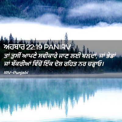 Picture 02 - ਅਹਬਾਰ 22:19 PANIRV - ਤਾਂ ਤੁਸੀਂ ਆਪਣੇ - Bible Verse Picture