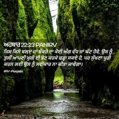 Picture 02 - ਅਹਬਾਰ 22:23 PANIRV - ਜਿਸ ਕਿਸੇ ਬਲ਼ਦ ਜਾਂ - Bible Verse Picture