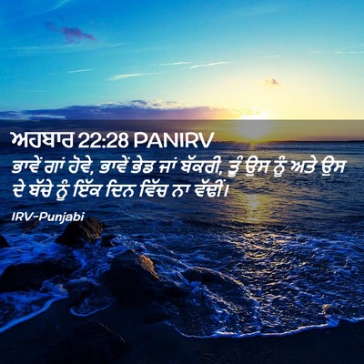 Picture 02 - ਅਹਬਾਰ 22:28 PANIRV - ਭਾਵੇਂ ਗਾਂ ਹੋਵੇ, - Bible Verse Picture
