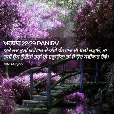 Picture 02 - ਅਹਬਾਰ 22:29 PANIRV - ਅਤੇ ਜਦ ਤੁਸੀਂ - Bible Verse Picture