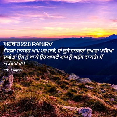 Picture 02 - ਅਹਬਾਰ 22:8 PANIRV - ਜਿਹੜਾ ਜਾਨਵਰ ਆਪ ਮਰ - Bible Verse Picture