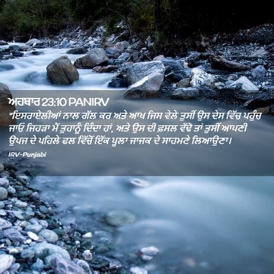 Picture 02 - ਅਹਬਾਰ 23:10 PANIRV - “ਇਸਰਾਏਲੀਆਂ ਨਾਲ - Bible Verse Picture