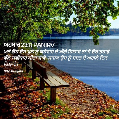 Picture 02 - ਅਹਬਾਰ 23:11 PANIRV - ਅਤੇ ਉਹ ਉਸ ਪੂਲੇ ਨੂੰ - Bible Verse Picture