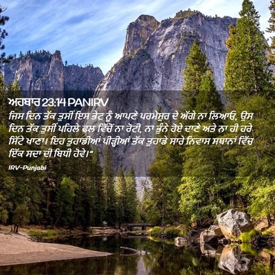 Picture 02 - ਅਹਬਾਰ 23:14 PANIRV - ਜਿਸ ਦਿਨ ਤੱਕ ਤੁਸੀਂ - Bible Verse Picture