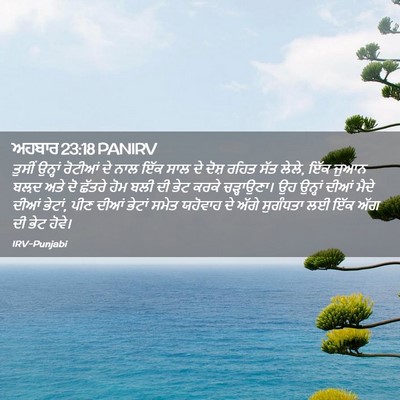 Picture 02 - ਅਹਬਾਰ 23:18 PANIRV - ਤੁਸੀਂ ਉਨ੍ਹਾਂ - Bible Verse Picture