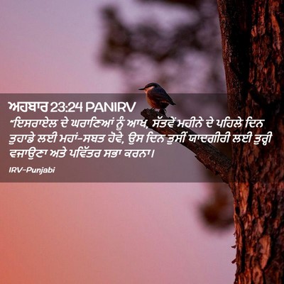 Picture 02 - ਅਹਬਾਰ 23:24 PANIRV - “ਇਸਰਾਏਲ ਦੇ - Bible Verse Picture
