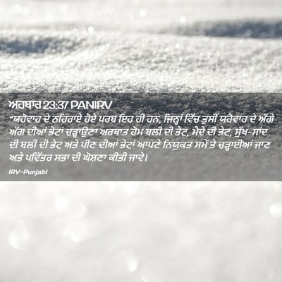 Picture 02 - ਅਹਬਾਰ 23:37 PANIRV - “ਯਹੋਵਾਹ ਦੇ ਠਹਿਰਾਏ - Bible Verse Picture