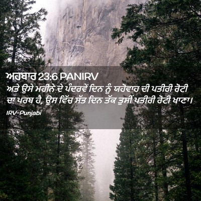 Picture 02 - ਅਹਬਾਰ 23:6 PANIRV - ਅਤੇ ਉਸੇ ਮਹੀਨੇ ਦੇ - Bible Verse Picture
