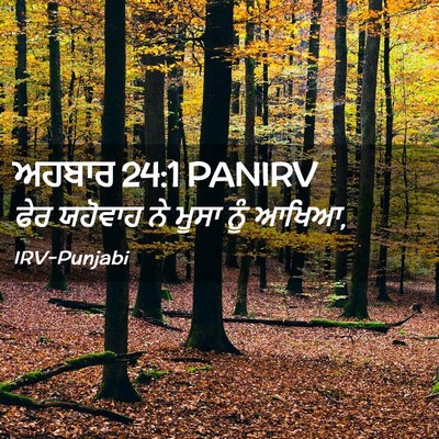 Picture 02 - ਅਹਬਾਰ 24:1 PANIRV - ਫੇਰ ਯਹੋਵਾਹ ਨੇ ਮੂਸਾ - Bible Verse Picture