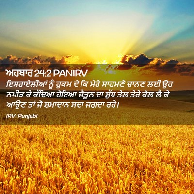 Picture 02 - ਅਹਬਾਰ 24:2 PANIRV - ਇਸਰਾਏਲੀਆਂ ਨੂੰ - Bible Verse Picture