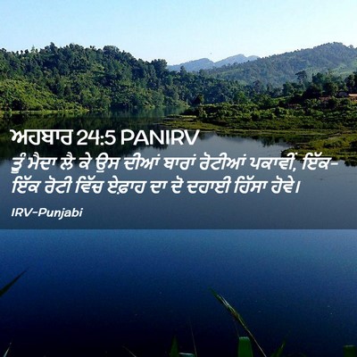 Picture 02 - ਅਹਬਾਰ 24:5 PANIRV - ਤੂੰ ਮੈਦਾ ਲੈ ਕੇ ਉਸ - Bible Verse Picture