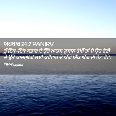 Picture 02 - ਅਹਬਾਰ 24:7 PANIRV - ਤੂੰ ਇੱਕ-ਇੱਕ ਕਤਾਰ ਦੇ - Bible Verse Picture
