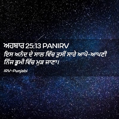 Picture 02 - ਅਹਬਾਰ 25:13 PANIRV - ਇਸ ਅਨੰਦ ਦੇ ਸਾਲ ਵਿੱਚ - Bible Verse Picture