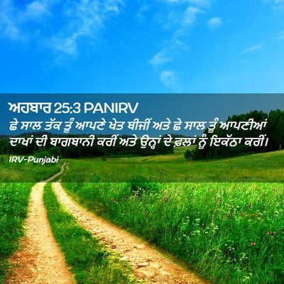 Picture 02 - ਅਹਬਾਰ 25:3 PANIRV - ਛੇ ਸਾਲ ਤੱਕ ਤੂੰ ਆਪਣੇ - Bible Verse Picture