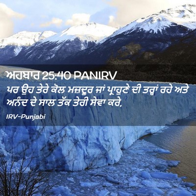 Picture 02 - ਅਹਬਾਰ 25:40 PANIRV - ਪਰ ਉਹ ਤੇਰੇ ਕੋਲ - Bible Verse Picture