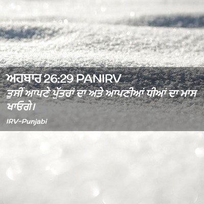 Picture 02 - ਅਹਬਾਰ 26:29 PANIRV - ਤੁਸੀਂ ਆਪਣੇ - Bible Verse Picture