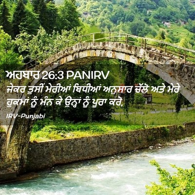 Picture 02 - ਅਹਬਾਰ 26:3 PANIRV - ਜੇਕਰ ਤੁਸੀਂ ਮੇਰੀਆਂ - Bible Verse Picture